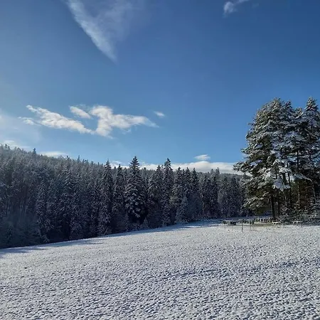 Domek Z Balia - Dotyk Motyla Łapsze Niżne Exterior foto