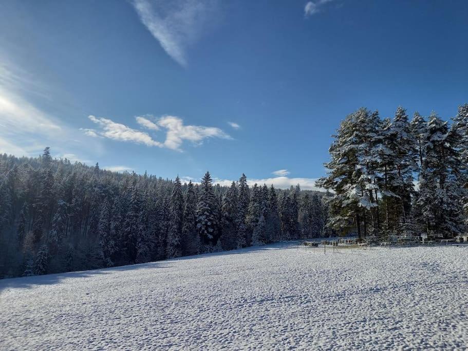Z Balia - Dotyk Motyla Holiday home *